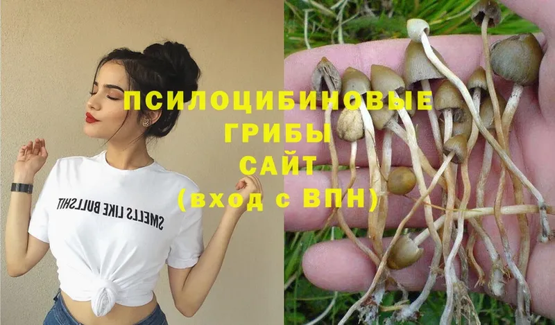 Псилоцибиновые грибы Magic Shrooms  где продают   Вятские Поляны 